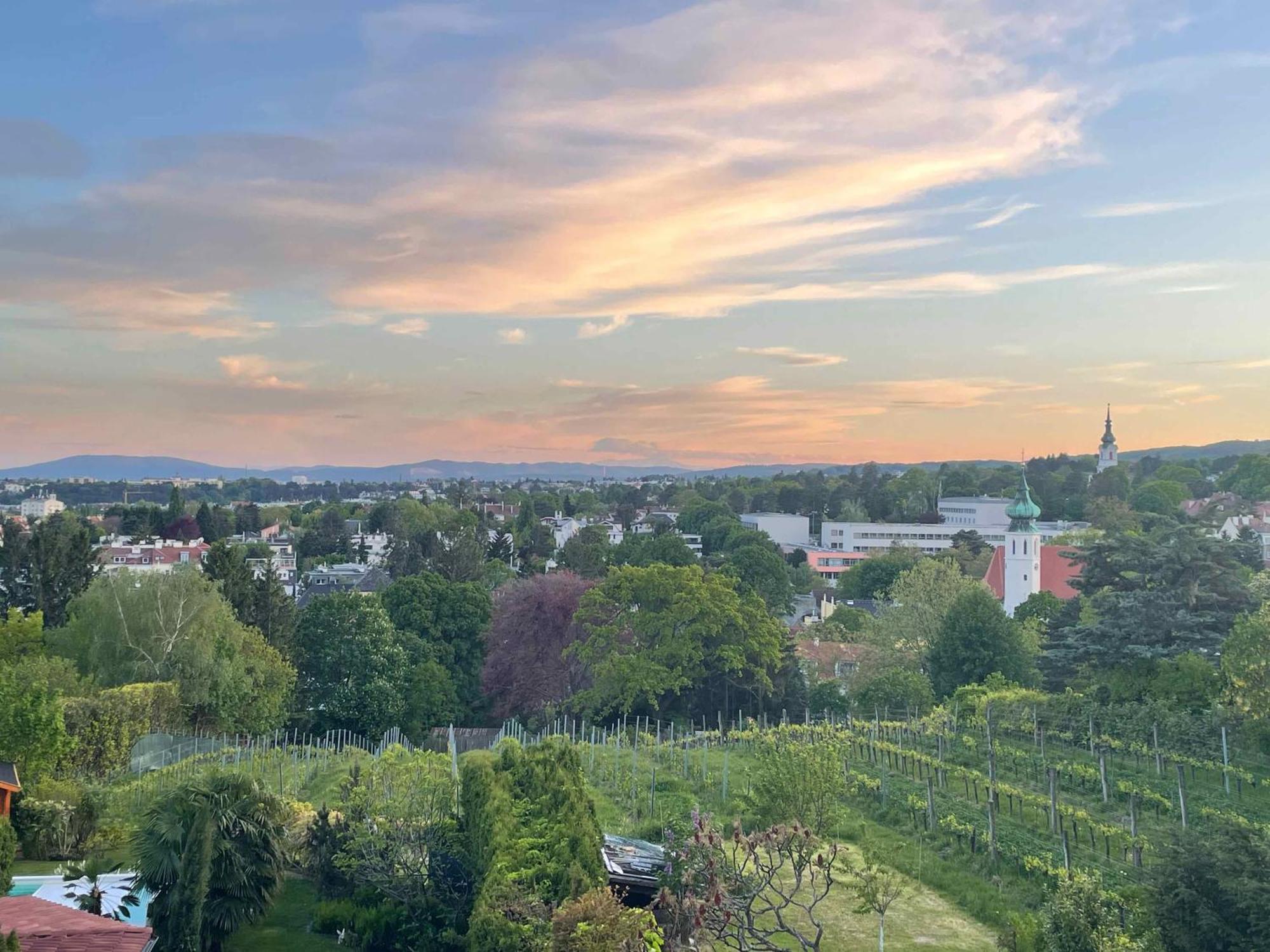 Herrlicher Ausblick Ueber Wien Exteriör bild