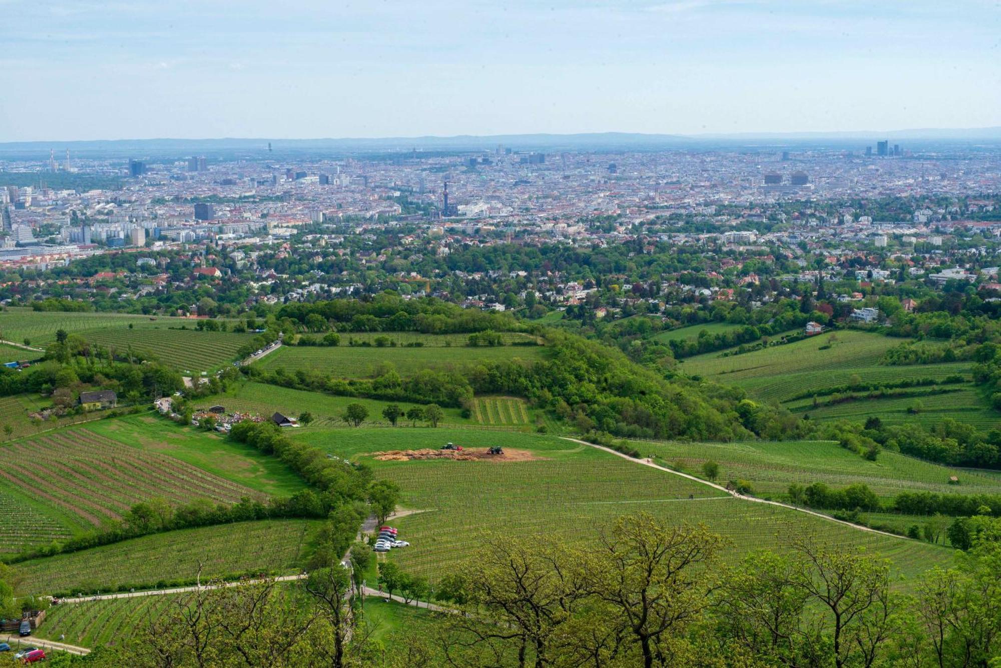 Herrlicher Ausblick Ueber Wien Exteriör bild